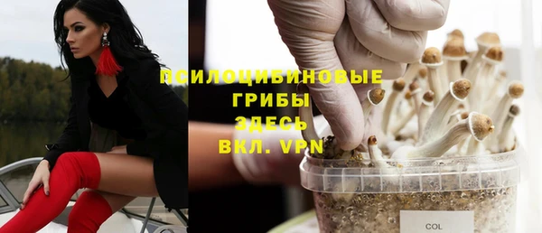 марки lsd Карпинск