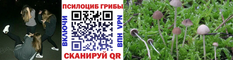 Псилоцибиновые грибы Cubensis  цены наркотик  Нижневартовск 