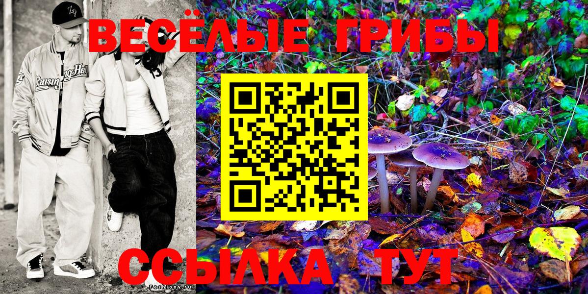 Нижневартовск  Псилоцибиновые грибы Cubensis  Вход с VPN 