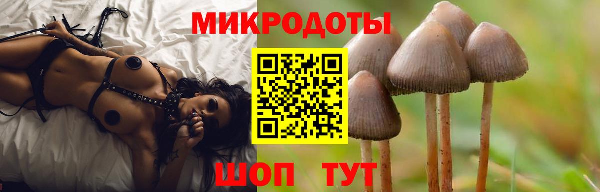 Псилоцибиновые грибы Psilocybe  Нижневартовск  Галлюциногенные грибы Psilocybine cubensis 